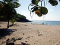 18c - Plage Caraïbe 001